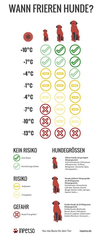 Vier monaten dazu in der lage, blase und darm zu kontrollieren. Traumzaubereien: Hundskälte - ab wann friert welcher Hund ...