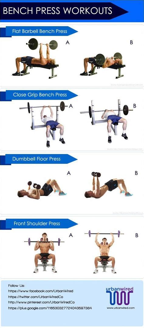 Muscular Strength Fitness Bench Press Workouts For Beginners