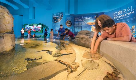 Aquarium At The Boardwalk Inside Missouris Unique New Attraction