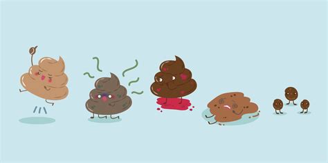 Liver cancer is less common than metastatic cancer in dogs, but can and does occur. Blood Mixed In Stool - Stools Item