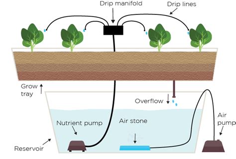 Different Hydroponic Systems Explained With Diagrams The Hippie House