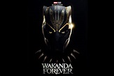 Movie Black Panther: Wakanda Forever 8k Ultra HD Wallpaper
