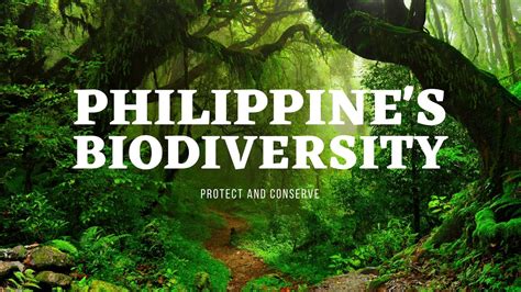 Philippines Biodiversity Youtube
