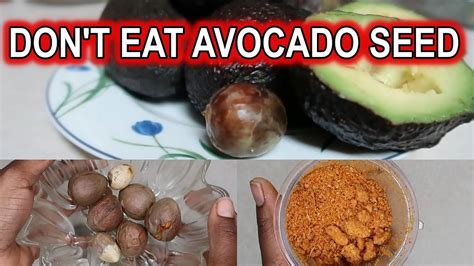 Dont Eat Avocado Seeds Do This Instead Discoveringnatural Youtube