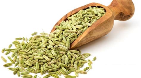 15 Health Benefits Of Fennel Seedssaunf And How To Use Them 15