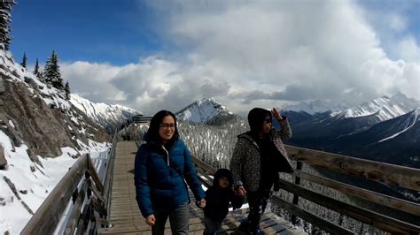 Book today on the official page of the banff gondola! Banff Gondola Spring 2019 - YouTube