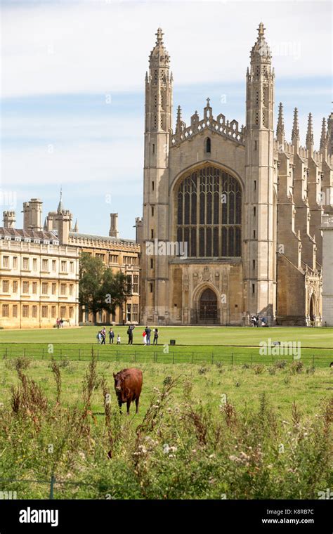 Kings College Cambridge View From The Backs Stock Photo Alamy