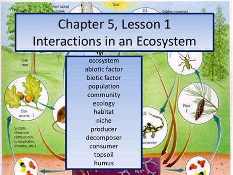 Chapter 5 Lesson 1 Interactions In An Ecosystem