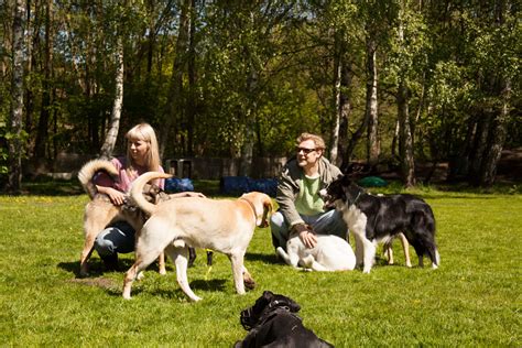 Dogmartens Ist Ihre Hundebetreuung In Hamburg 8000 Qm Auslauf