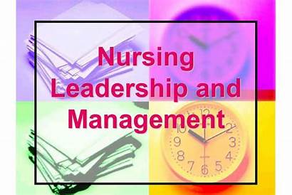 Nursing Leadership Management Essay Editing Services Assignment