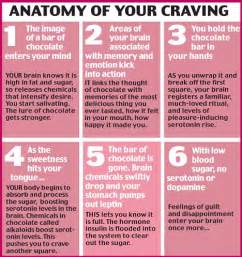How to stop craving food when not hungry summary: A Life without Anorexia: Not all cravings are the same