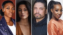 'Power Book IV: Force' Season 2 Adds Four to Cast (EXCLUSIVE) - Variety
