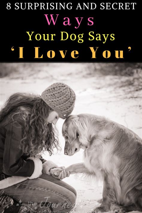 8 Surprising And Secret Ways Your Dog Says ‘i Love You Say I Love