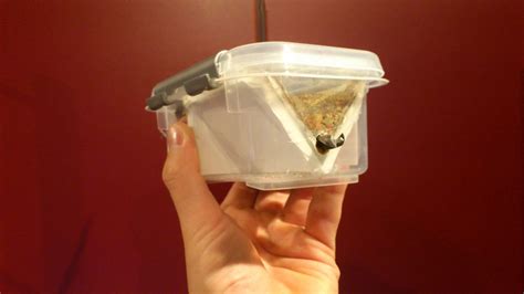 We did not find results for: DIY Automatic Fish Feeder Using Arduino Nano | Make: | Fish feeder, Automatic fish feeder ...