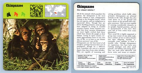 Chimpanzee Mammals 1970s Rencontre Safari Wildlife Card