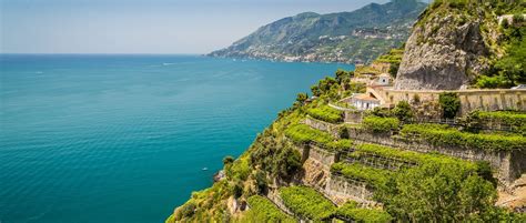 See full list on italyguides.it Campania Wine Region Guide » Italian Wine Regions ...