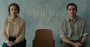 Revisa el trailer de Wildlife, nueva película de Carey Mulligan y Jake ...