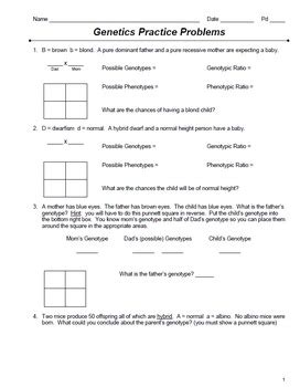 Complete a punnett square and answer the questions for a completely dominant red and tall plant crossed with a heterozygous red and dwarf plant. Dihybrid Genetics Practice Problems Worksheet Answer Key ...