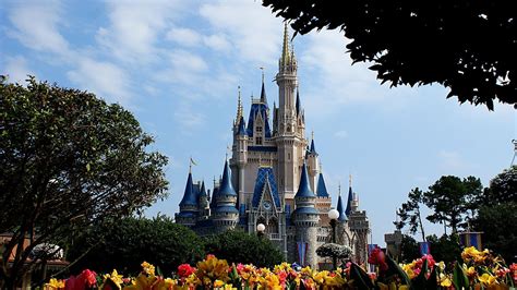 Disney World Wallpaper ·① Download Free Backgrounds For