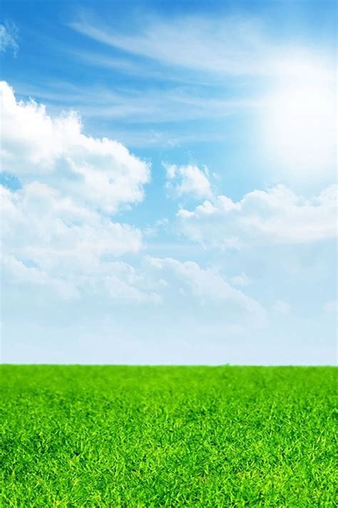 Pure Green Grass Blue Sky Iphone 4s Wallpapers Blue Sky Wallpaper