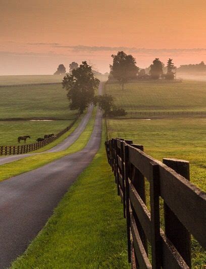 Road Through Kentucky Farmland By Rick Scalf Country Living Country