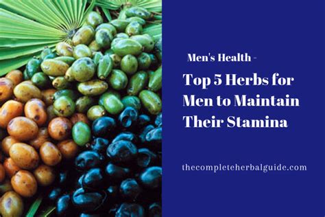 Top Herbs For Men To Maintain Their Stamina