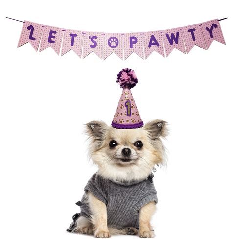 Dog Party Hat Lets Pawty Banner Puppy Birthday Party Hat Etsy