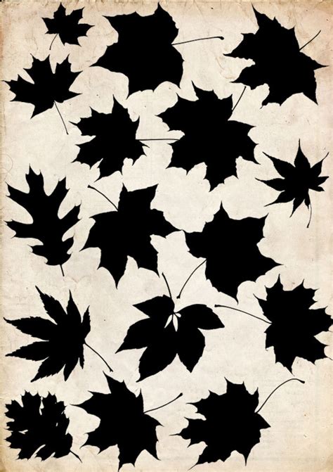 Autumn Leaves Silhouette Png 16 Png Clipart Instant Etsy Uk