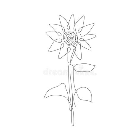 Sunflower Outline Drawing