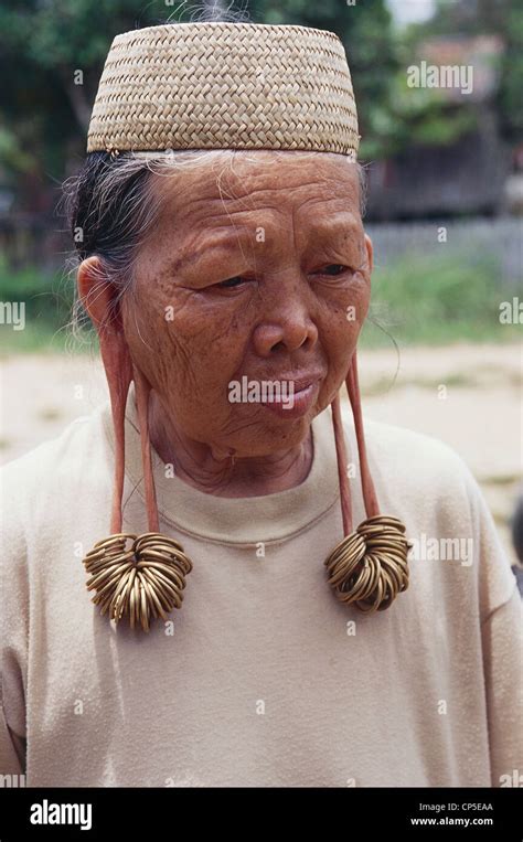 Indonesia Borneo East Kalimantan Apokayan Old Woman Of The Tribe