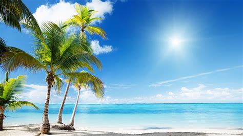 Coconut Trees On White Beach Sand Near Body Of Water During Sunny Time