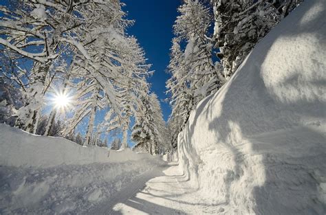 Sun Frost Snow Drifts Trees Winter Path Wallpapers