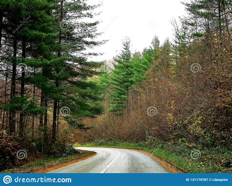 Beautiful View Of Mountain Road Through Forest In Autumn Stock Image