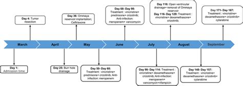 The Timeline Of Patient Treatment Download Scientific Diagram
