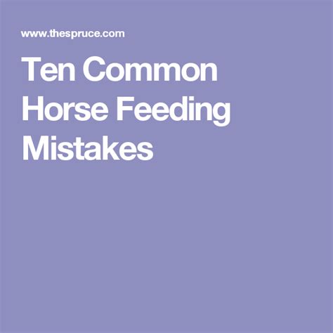 Avoid These 10 Common Horse Feeding Mistakes Mistakes Income Tax