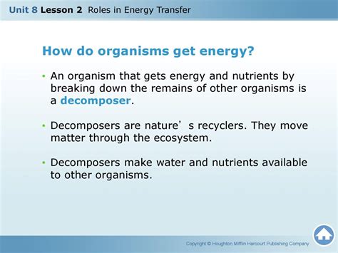Get Energized How Do Organisms Get Energy Ppt Download
