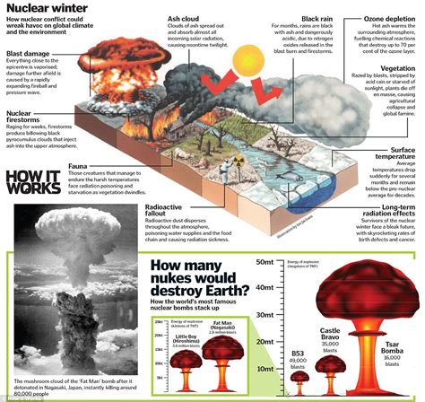 What Effects Could A Nuclear Conflict Have On The Environment And The