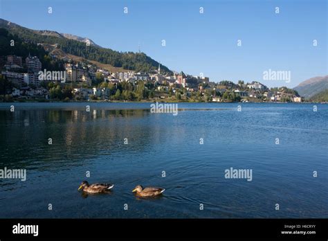 View Of St Moritz Townscape St Moritzersee Lake Upper Engadine