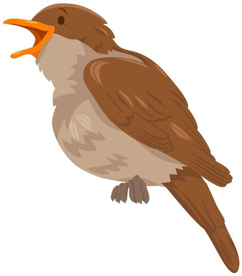 Nightingale Bird Animal Cartoon Character 1526027 Vector Art At Vecteezy