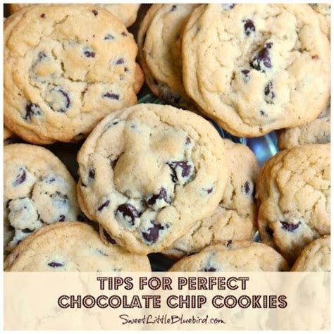 Take them out when they are just barely baked but too soft to take off the. Sweet Little Bluebird: Perfect Chocolate Chip Cookies