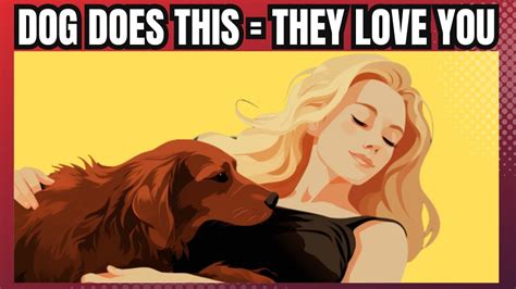 11 Scientific Ways To Know If Your Dog Loves You Proven Signs And Ways