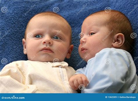 Twin Baby Boys Stock Image Image Of Concept Brothers 1362309