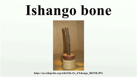 Ishango Bone Youtube