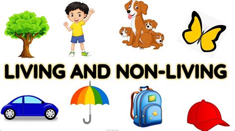 Living Things And Nonliving Things Living And Non Living Things For