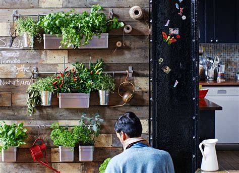 20 Ways To Garden Without A Backyard Bob Vila