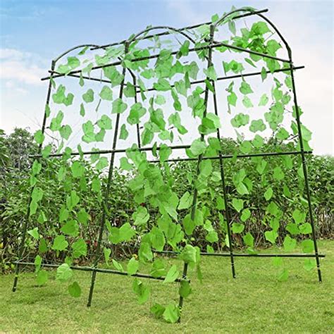 Our Recommended Top 11 Best Squash Trellis Reviews 2023 Maine