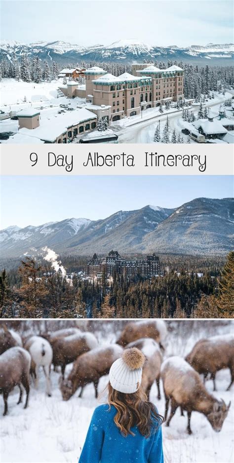 9 Day Alberta Itinerary Alberta Canada Travel Alberta Travel Canada