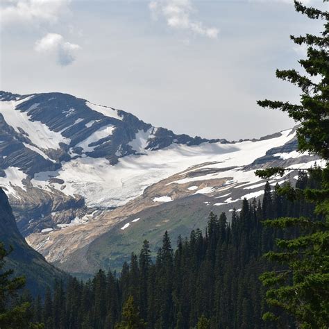 Jackson Glacier Overlook Parc National De Glacier Ce Quil Faut Savoir