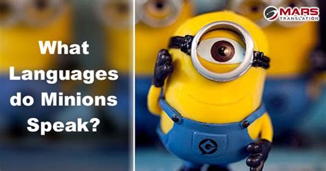 We Have All Seen The Despicable Me Series—and Loved Them Mainly