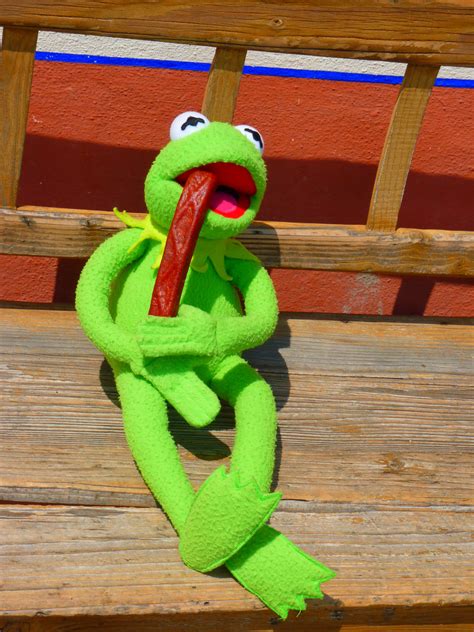 Free Images Green Frog Eat Textile Kermit Hunger Vespers